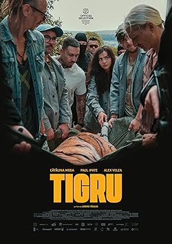 Poster of Tigru