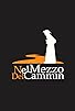 Primary photo for Nel mezzo del cammin