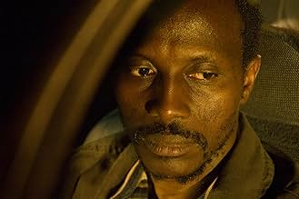 पोस्टर देखें