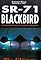 SR-71 Blackbird: The Secret Vigil's primary photo