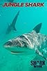 Primary photo for Jungle Shark
