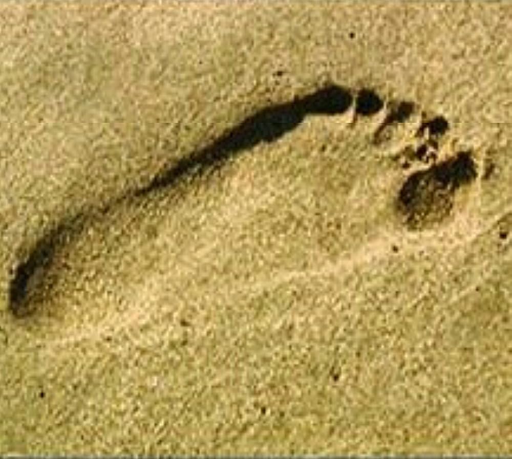 MV5BMzc3MzRlNzItOTM0Ni00MTk0LT