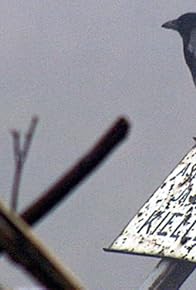Primary photo for Crow