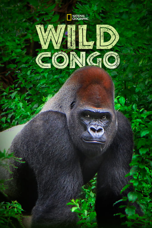 その他 Nature: My Congo [DVD] [Import] Congo [DVD] [1995] [Region 1] [US Import] [NTSC]: Amazon.co