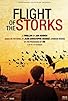 Primary photo for Flight of the Storks
