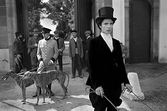 पोस्टर देखें