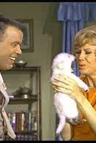 Primary photo for Cold Nose, Warm Heart