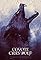 Coyote cries wolf's primary photo