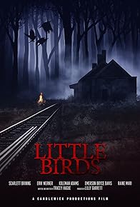 Primary photo for Little Birds