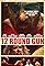 12 Round Gun's primary photo