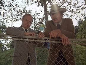 पोस्टर देखें