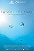 Primary photo for La voce del mare Primary photo for La voce del mare