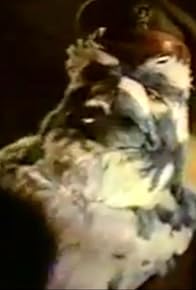 Primary photo for Nissan: Pigeons