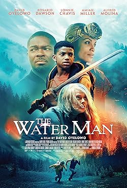 Poster of The Water Man