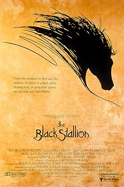 Poster of The Black Stallion