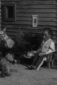 Primary photo for Ride 'Em Cowboy