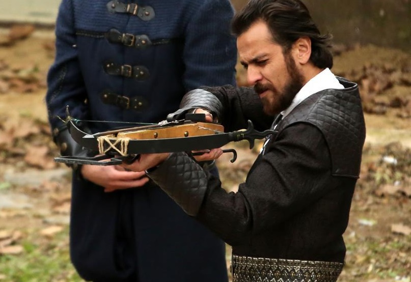 Jum foto bilan qoplangan yosh mushuk