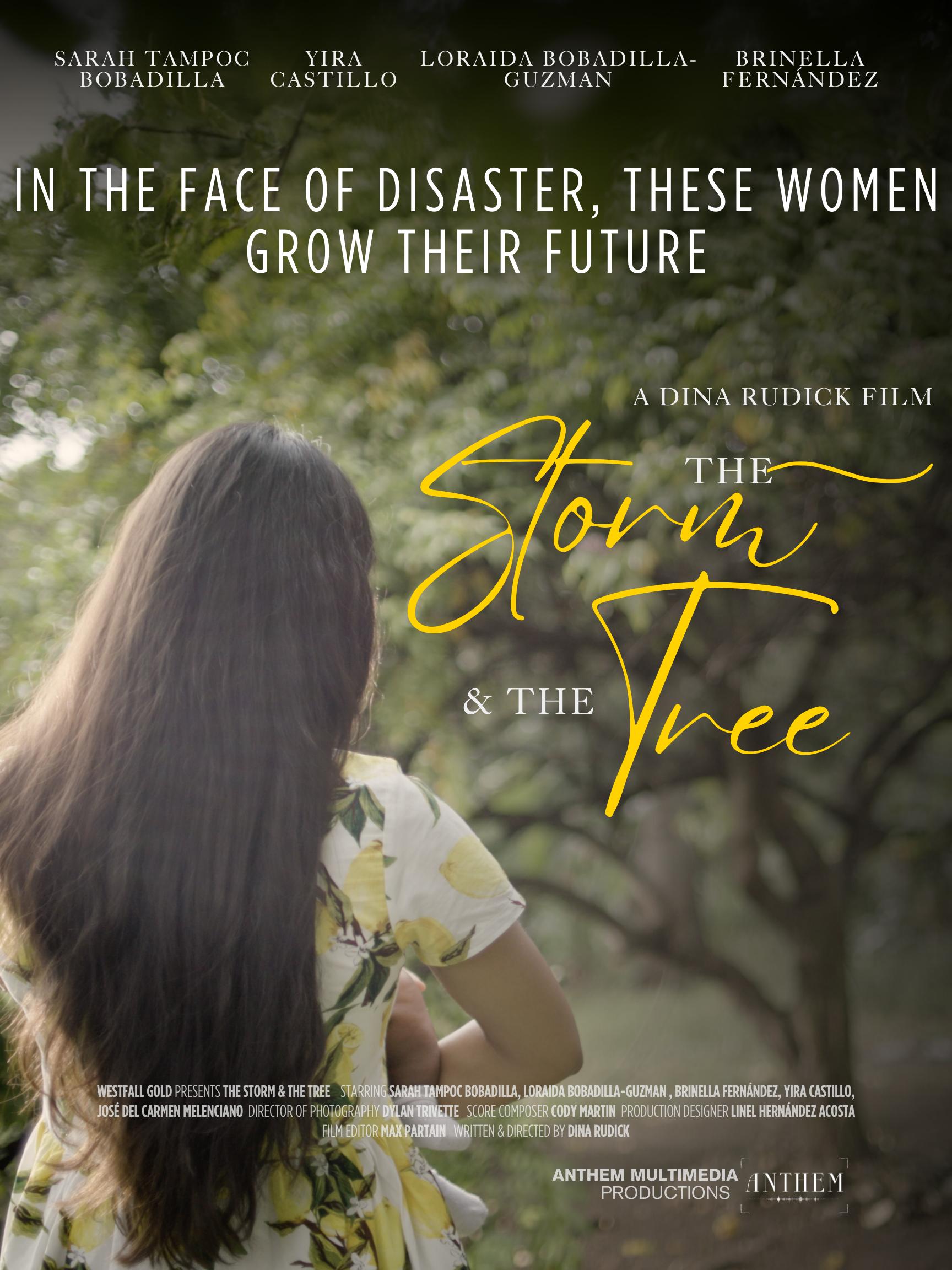 The Storm & The Tree