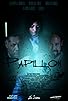 Primary photo for Papillon