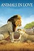 Primary photo for Animals in Love Primary photo for Animals in Love