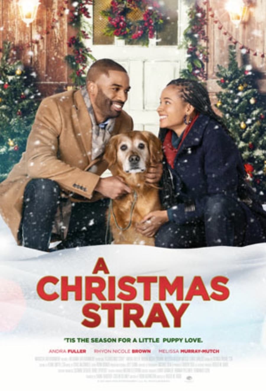 Poster of A Christmas Stray