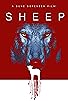 Primary photo for Sheep