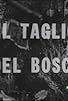 Primary photo for Il taglio del bosco Primary photo for Il taglio del bosco