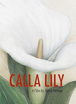 Poster of Calla Lily