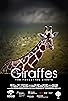 Primary photo for Giraffes: The Forgotten Giants Primary photo for Giraffes: The Forgotten Giants