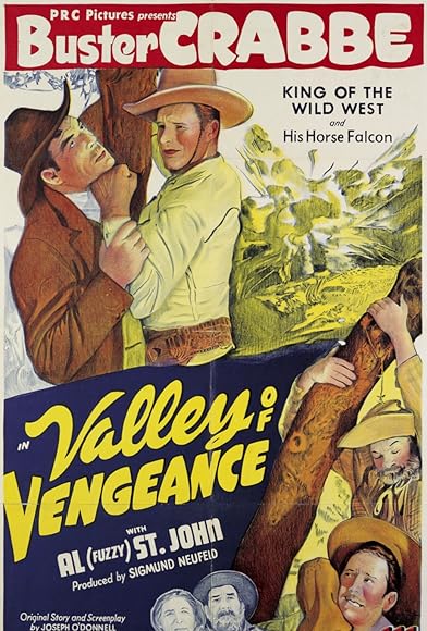 Primary photo for Valley of Vengeance Primary photo for Valley of Vengeance