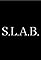 S.L.A.B.'s primary photo