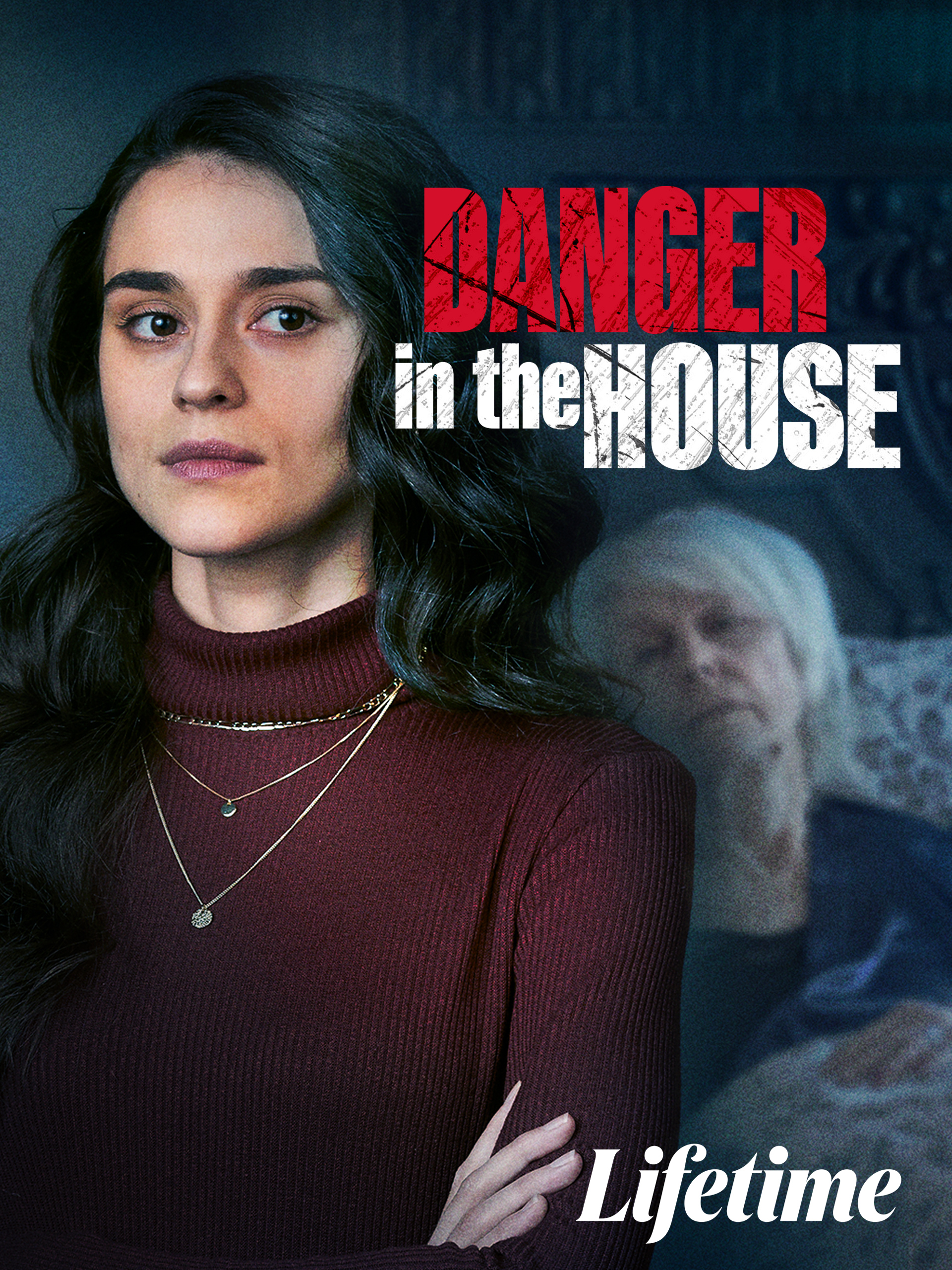 Poster of Danger in the House