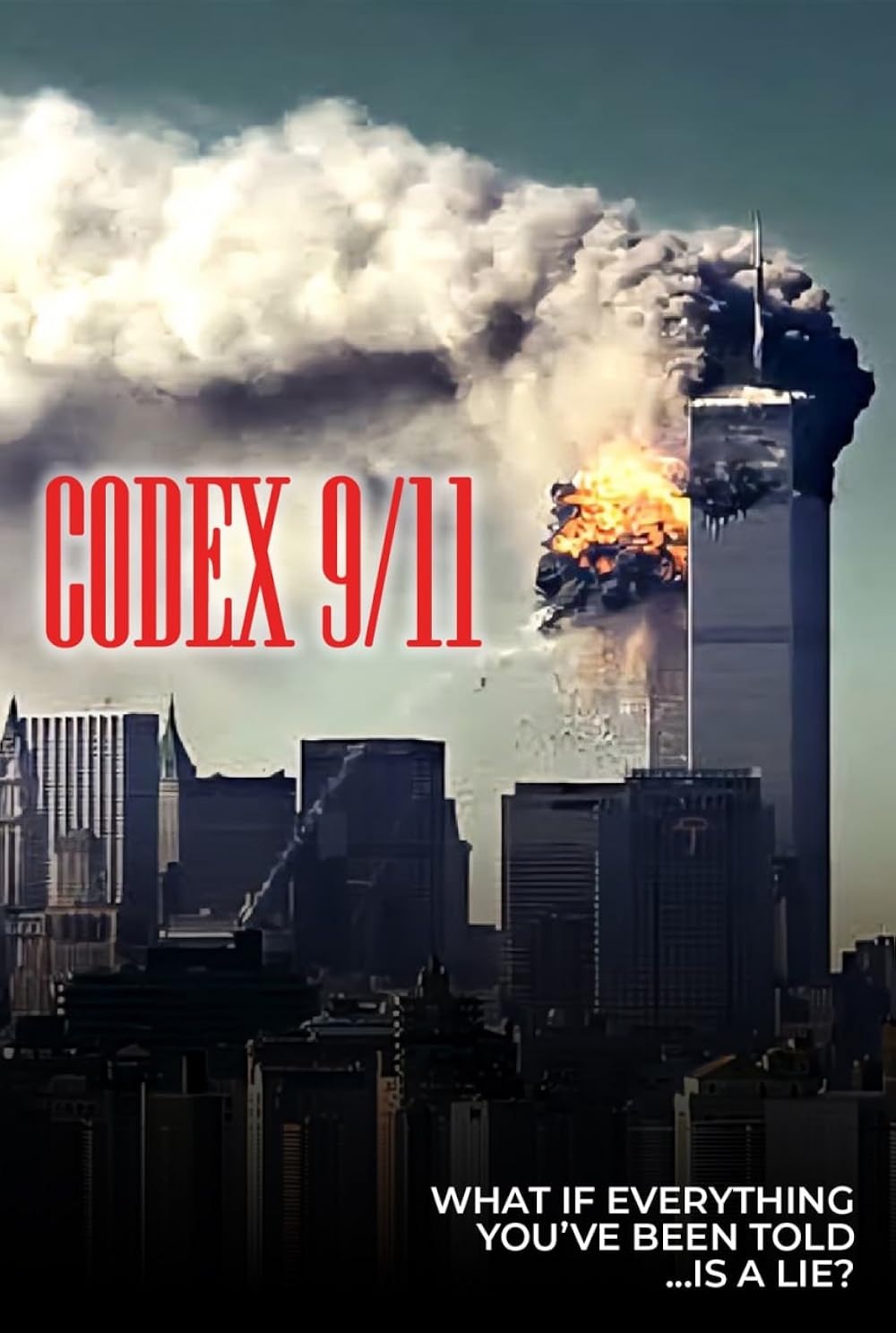 その他 Terror in America: Preparing for the Next 9/11 [DVD] Terror in America: Preparing for the Next 9 / 11 (DVD