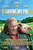 Primary photo for Saving My Pig Primary photo for Saving My Pig
