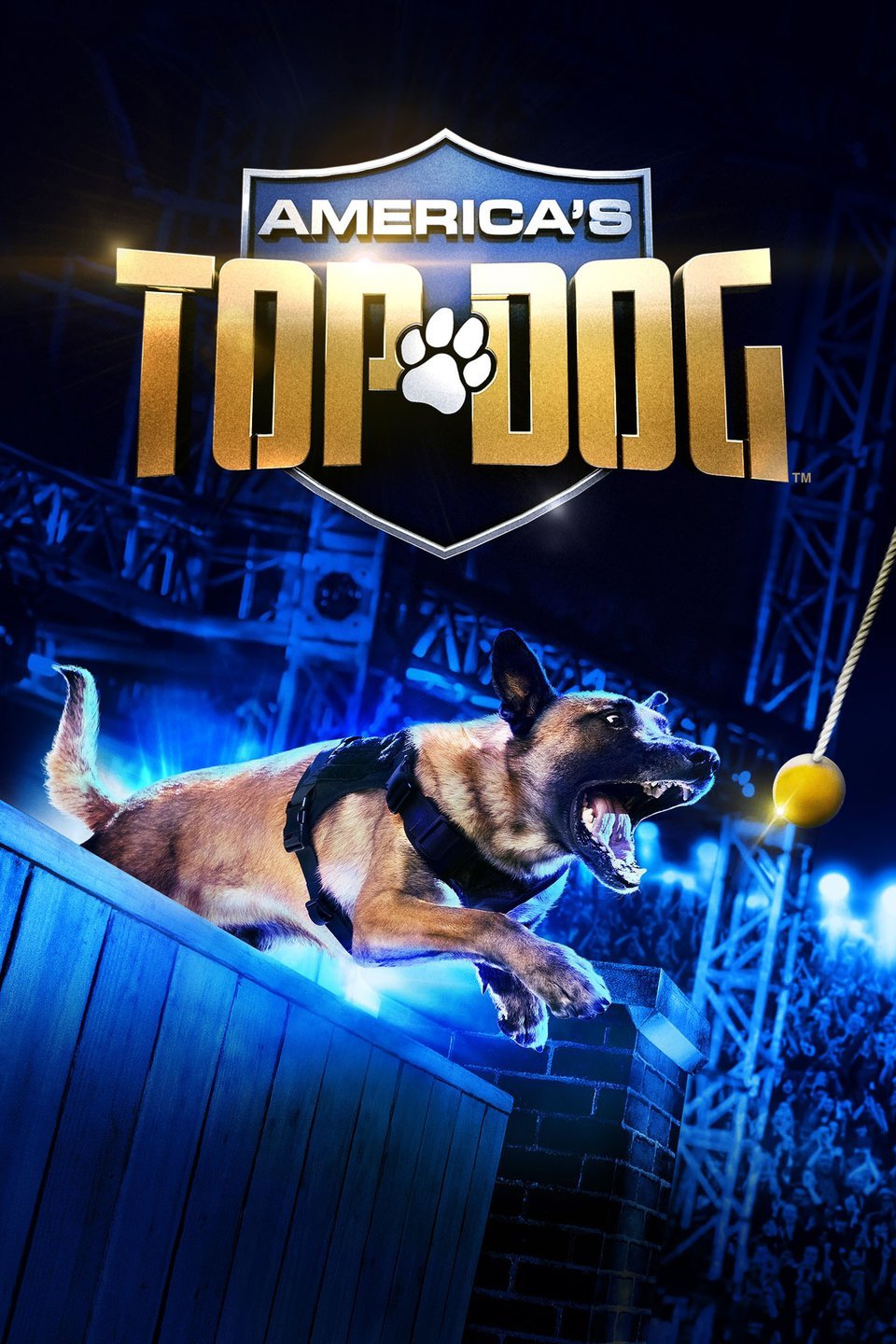 Poster of America's Top Dog
