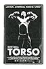Primary photo for Torso Primary photo for Torso