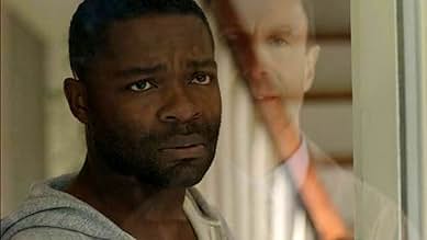 पोस्टर देखें