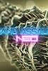Primary photo for Nano Assault Neo