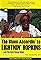 The Blues Accordin' to Lightnin' Hopkins's primary photo