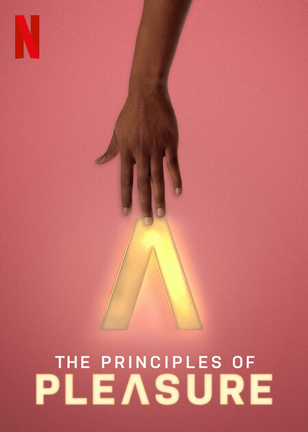 Poster of The Principles Of Pleasure