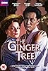 Primary photo for The Ginger Tree Primary photo for The Ginger Tree