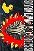 Primary photo for Official Duck Studios: Skyrim - How to Get Auriel's Shield! Primary photo for Official Duck Studios: Skyrim - How to Get Auriel's Shield!