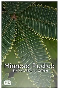 Primary photo for Mimosa Pudica