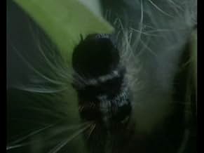 पोस्टर देखें