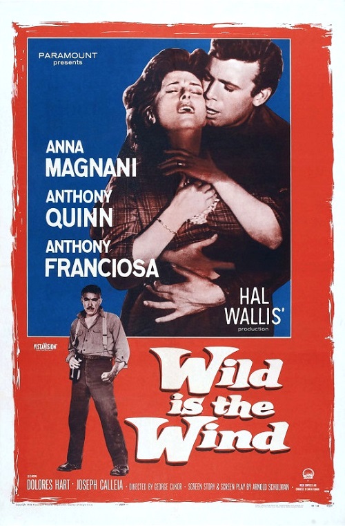 Poster of Wild is the Wind