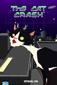 Primary photo for The Cat Crash Primary photo for The Cat Crash
