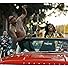 Primary photo for Kamaiyah Feat. YG: Fuck It Up Primary photo for Kamaiyah Feat. YG: Fuck It Up