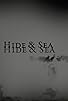 Primary photo for Hide and Sea