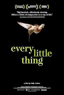 Poster of Every Little Thing