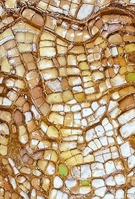 Primary photo for Fishing for Bikes and Racing Drones